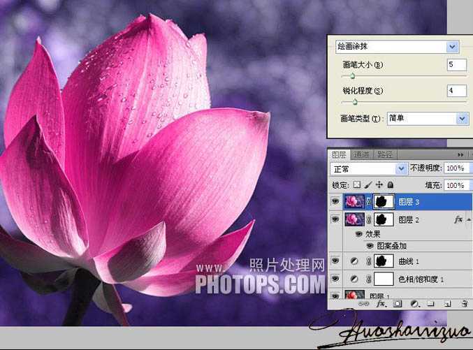 ‘Photoshop将荷花特写图片打造出高清的暗紫色效果‘