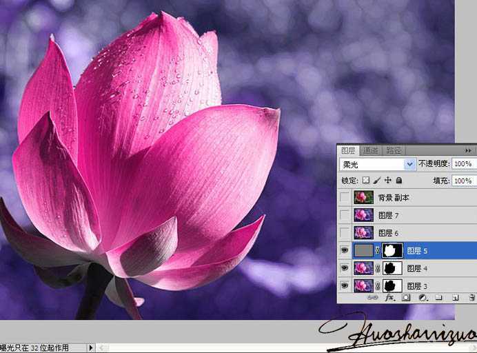 ‘Photoshop将荷花特写图片打造出高清的暗紫色效果‘