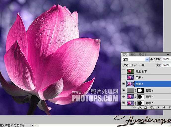 ‘Photoshop将荷花特写图片打造出高清的暗紫色效果‘