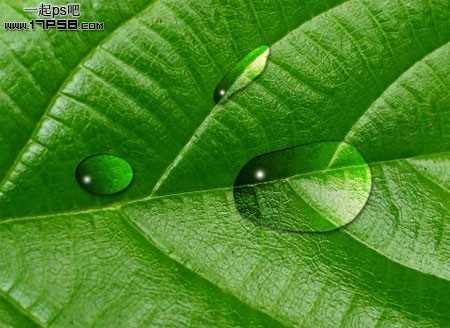 ‘photoshop设计制作出逼真晶莹剔透的雨滴水珠效果‘