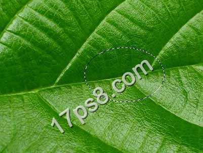 ‘photoshop设计制作出逼真晶莹剔透的雨滴水珠效果‘