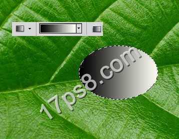 ‘photoshop设计制作出逼真晶莹剔透的雨滴水珠效果‘