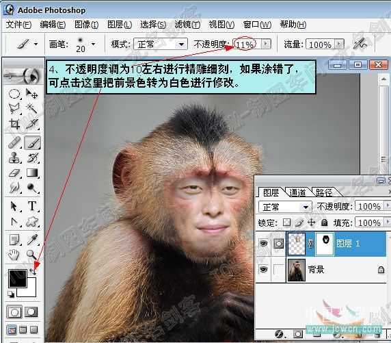 ‘Photoshop蒙版人和猴换脸教程‘