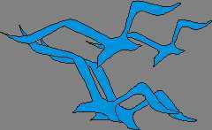实例学用CorelDRAW9-----海鸥 脚本之家 CorelDraw实例教程