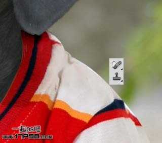 ‘PS合成一只穿童装的小黑狗教程‘