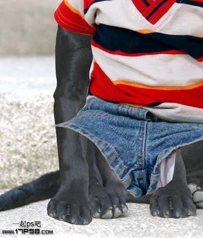 ‘PS合成一只穿童装的小黑狗教程‘