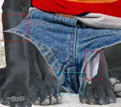 ‘PS合成一只穿童装的小黑狗教程‘