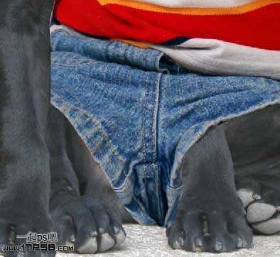 ‘PS合成一只穿童装的小黑狗教程‘