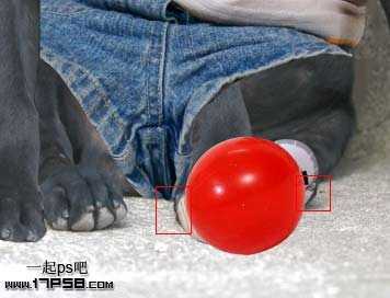 ‘PS合成一只穿童装的小黑狗教程‘