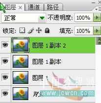 Photoshop教程：做花卉水彩画