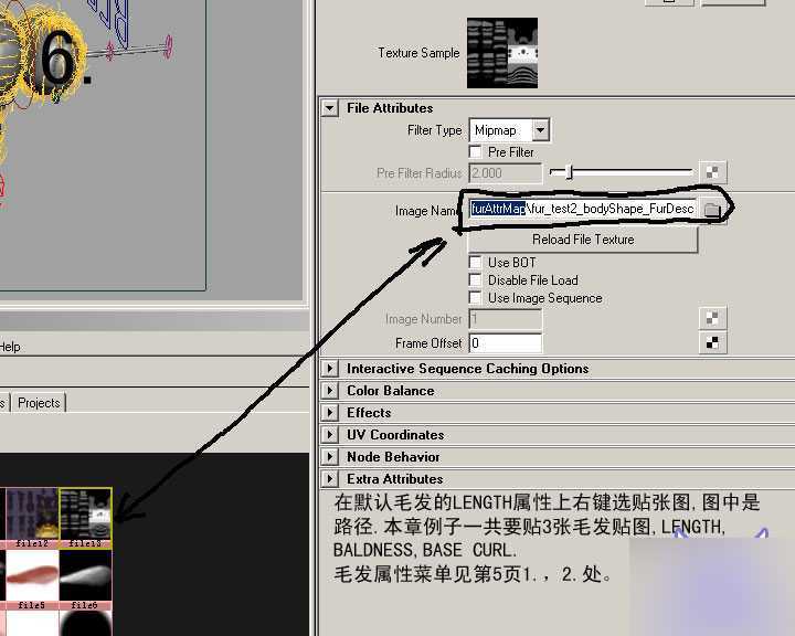 MAYA FUR制作蜜蜂的体毛 脚本之家 MAYA角色动画教程