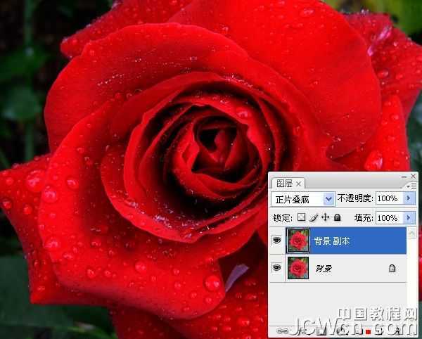 ‘Photoshop快速将红色玫瑰变成金色的效果‘
