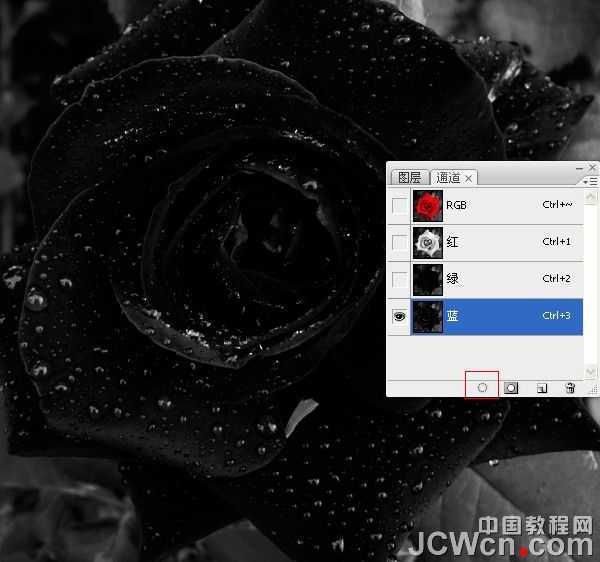 ‘Photoshop快速将红色玫瑰变成金色的效果‘