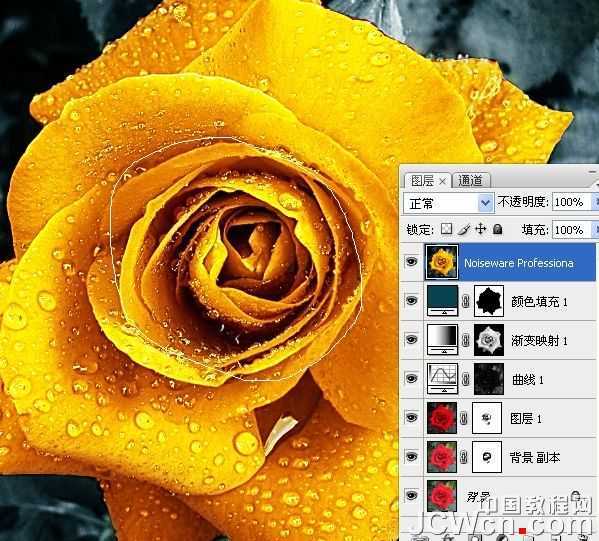 ‘Photoshop快速将红色玫瑰变成金色的效果‘