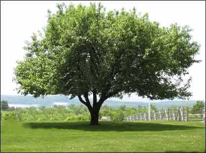 ‘photoshop简单合成漂亮的海边日出场景效果‘