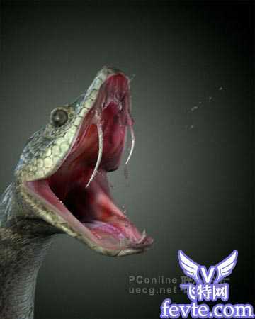 maya中真实大蟒蛇的塑造-建模篇 脚本之家 MAYA建模教程