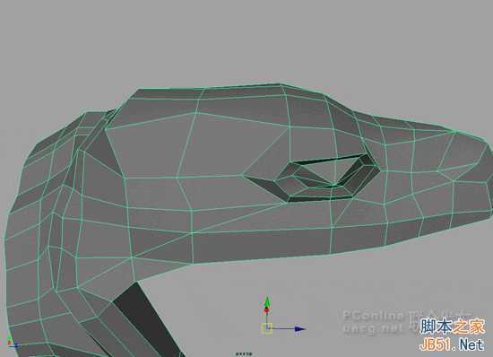 maya中真实大蟒蛇的塑造-建模篇 脚本之家 MAYA建模教程