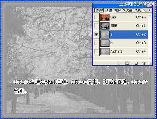 ‘PS用计算和通道打造另类色调效果‘