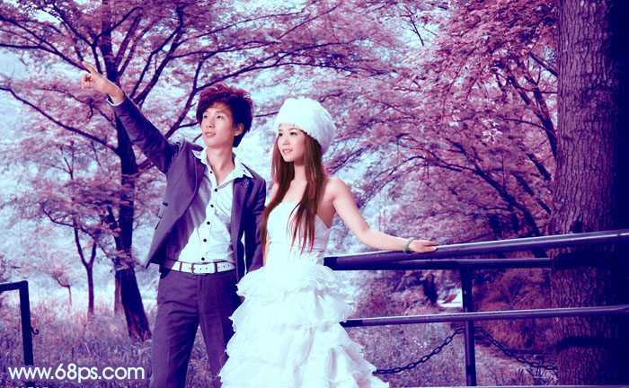 ‘Photoshop将树林婚片调制出梦幻的红紫色‘