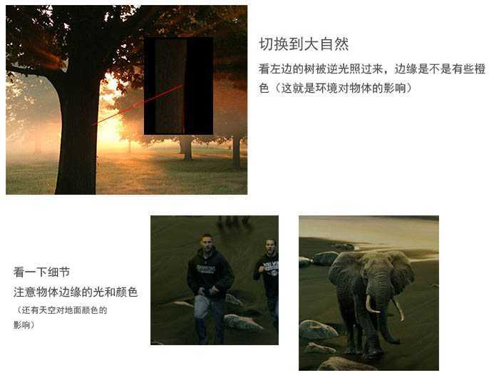 ‘PS合成制作出恐怖片中的巨大蜥蜴‘