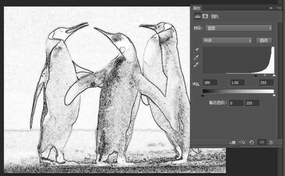 ‘PS一分钟把彩色企鹅图片转化为黑白铅笔画‘