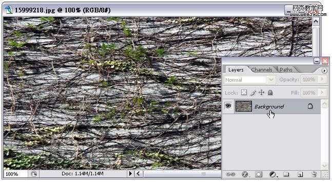 ‘Photoshop