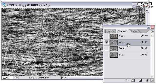 ‘Photoshop