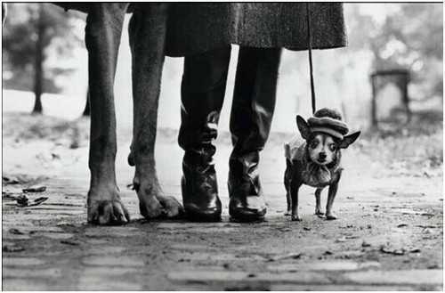 摄影师的洞察力 是什么成就了好的作品