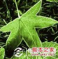 ‘ps怎么去除背景