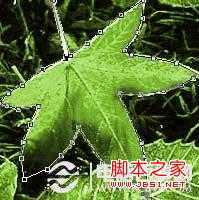 ‘ps怎么去除背景