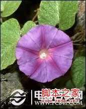 ‘ps怎么去除背景