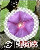 ‘ps怎么去除背景