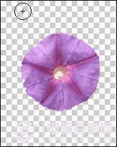 ‘ps怎么去除背景