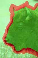 ‘ps怎么去除背景