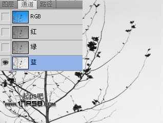 ‘Photoshop利用通道和计算命令抠出复杂物体的实例教程‘