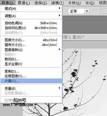 ‘Photoshop利用通道和计算命令抠出复杂物体的实例教程‘