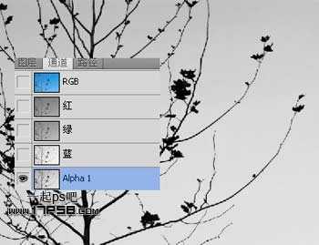 ‘Photoshop利用通道和计算命令抠出复杂物体的实例教程‘