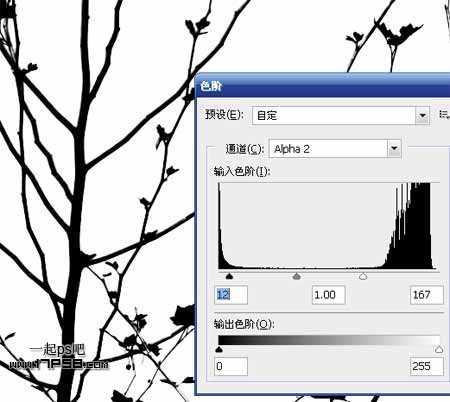 ‘Photoshop利用通道和计算命令抠出复杂物体的实例教程‘