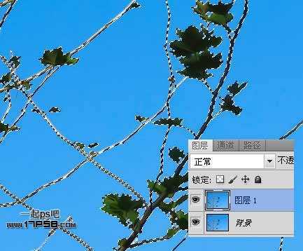 ‘Photoshop利用通道和计算命令抠出复杂物体的实例教程‘