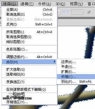 ‘Photoshop利用通道和计算命令抠出复杂物体的实例教程‘