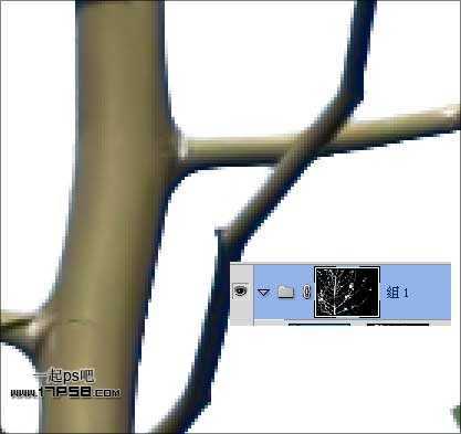 ‘Photoshop利用通道和计算命令抠出复杂物体的实例教程‘