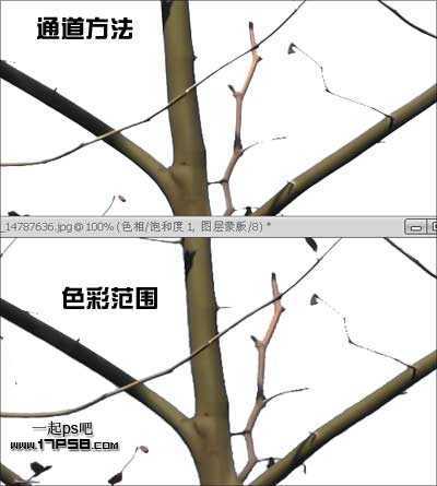 ‘Photoshop利用通道和计算命令抠出复杂物体的实例教程‘