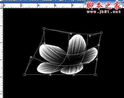 ‘Photoshop简单几笔打造绚彩逼真的彩色花朵‘