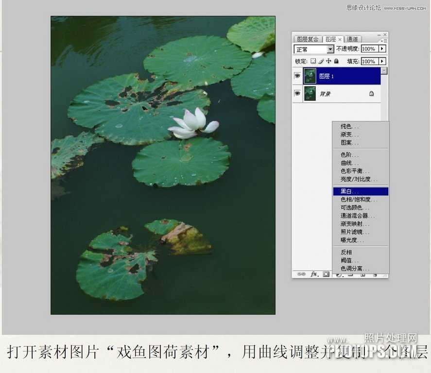 ‘教你用Photoshop把废弃的荷花图制作戏鱼图封面‘