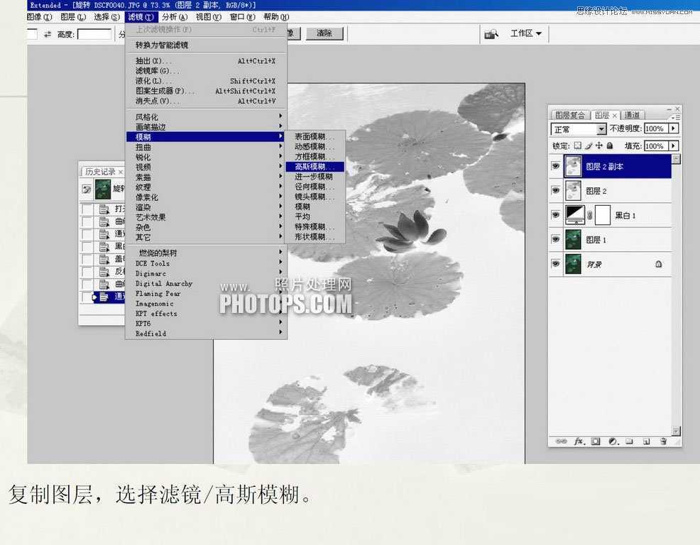 ‘教你用Photoshop把废弃的荷花图制作戏鱼图封面‘