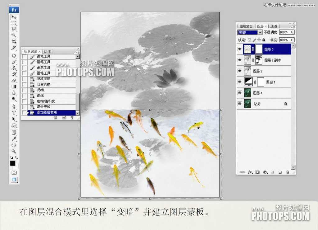 ‘教你用Photoshop把废弃的荷花图制作戏鱼图封面‘