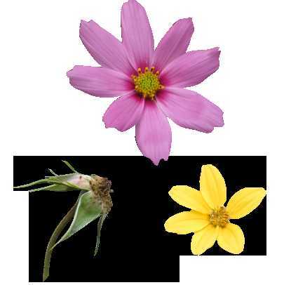 ‘photoshop利用描边路径制作超可爱的多层次水晶字‘