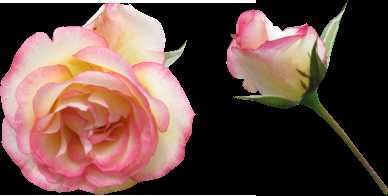 ‘photoshop利用描边路径制作超可爱的多层次水晶字‘