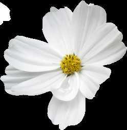 ‘photoshop利用描边路径制作超可爱的多层次水晶字‘