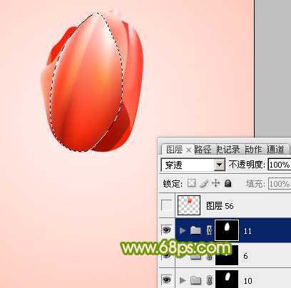 ‘Photoshop打造一朵含苞欲放的红色郁金香教程‘